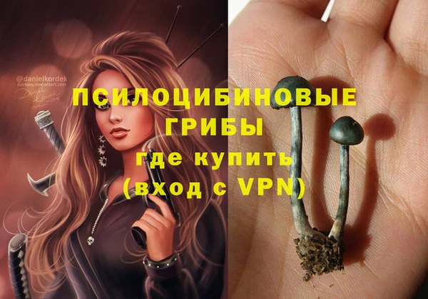 дживик Абинск