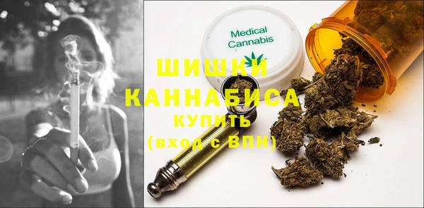 дживик Абинск