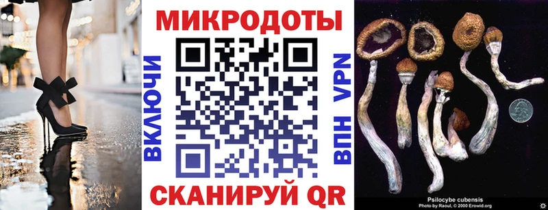 хочу наркоту  Карасук  Галлюциногенные грибы ЛСД 