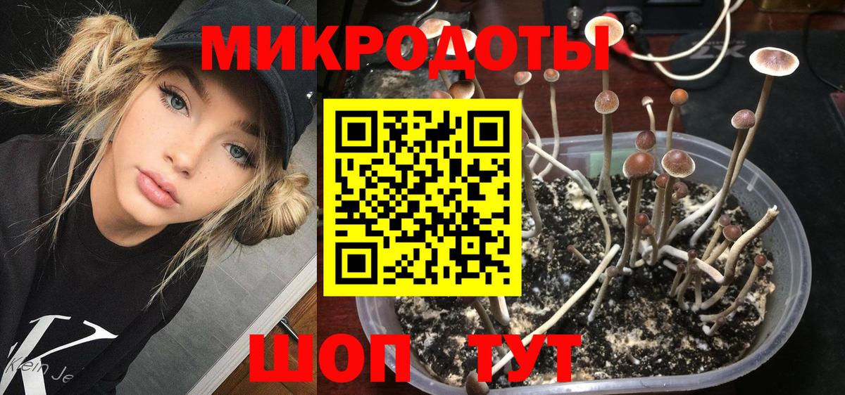 Карасук  Псилоцибиновые грибы GOLDEN TEACHER  Вход с VPN  Галлюциногенные грибы прущие грибы 